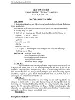 Gián án CHƯƠNG TRÌNH ĐAI HỘI LIÊN ĐỘI 2010-2011