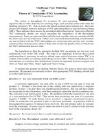 Challenge your thinking on theory of constraints (toc) accounting (e schragenheim)