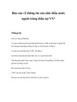 Tài liệu Báo cáo về thông tin của nhà thầu nước ngoài trúng thầu tại VN pdf