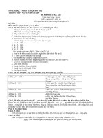 Gián án De thi hoc ki I -2010 - 2011