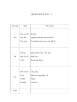 Tài liệu Gíao án tuần 12 pdf