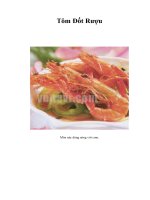 Tài liệu Tôm Đốt Rượu ppt