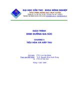 Tài liệu tiêu hóa và hấp thụ docx