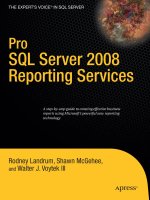 Tài liệu Apress - Pro SQL Server 2008 Reporting Services (2008)01 doc