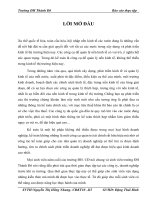 309 TỔNG QUÁT về CÔNG TY cổ PHẦN THƯƠNG mại và PHÁT TRIỂN DỊCH vụ hà nội 