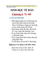 Tài liệu Sinh học tế bào - Ty thể ppt