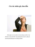 Tài liệu Các tác nhân gây đau đầu ppt