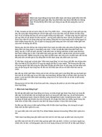 Tài liệu Kiểm toán hoạt động doc