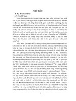 Quy hoạch phát triển giáo dục tiểu học và trung học cơ sở huyện đông sơn, tỉnh thanh hoá giai đoạn hiện nay 2008   2015 