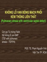 Tài liệu Bài giảng Không lỗ van động mạch phổi kèm thông liên thất pptx