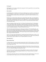 Tài liệu Tô Trung Từ ppt