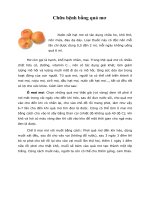 Tài liệu Chữa bệnh bằng quả mơ pdf