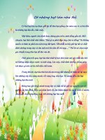 Có những hạt lúa như thế  