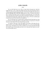 Đồ án giải pháp phát triển thị trường dịch vụ kênh thuê riêng của công ty VTN