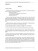 Luan van chuyen de 109533 tim hieu va nghien cuu ly thuyet ve mo h chuan 