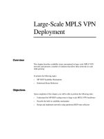 Tài liệu Large-Scale MPLS VPN Deployment ppt