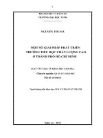 Một số giải pháp phát triển trường tiểu học chất lượng cao ở thành phố hồ chí minh 