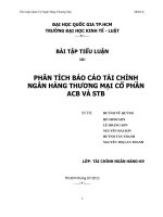 PHÂN TÍCH báo cáo tài CHÍNH NGÂN HÀNG THƯƠNG mại cổ PHẦN ACB và STB 