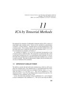 Tài liệu Bài 11: ICA by Tensorial Methods docx