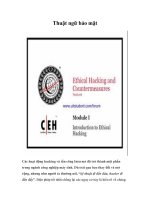 Tài liệu Thuật ngữ bảo mật pptx