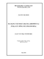 Đa dạng tảo silic ( bacilariophyta) ở hạ lưu sông mã ( thanh hoá) 