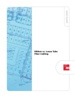 Tài liệu Ribbon vs. Loose Tube Fiber Cabling pdf