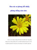 Tài liệu Hoa cúc sơ phong tiết nhiệt, phòng chống cảm cúm docx