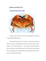 Tài liệu Kiến thức y học cần biết – Kỳ 1 ppt