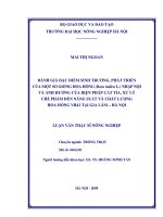 Đánh giá đặc điểm sinh trưởng, phát triển của một số giống hoa hồng (rosa indica l) nhập nội và ảnh hưởng của biện pháp cắt tỉa, xử lý chế phẩm đến năng suất và chất lượng hoa hồng VR41 tại gia lâm   hà n 