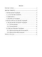 Chiến lược kinh doanh quốc tế của tập đoàn trung nguyên 