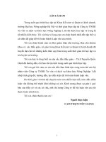 Phân tích tình hình tài chính tại công ty TNHH tư vấn và dịch vụ khoa học nông nghiệp i