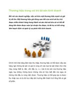 Tài liệu Thương hiệu trong vai trò tài sản kinh doanh pptx