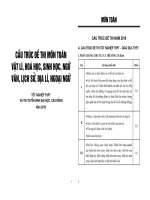 Tài liệu Cấu trúc đề thi tất cả các môn năm 2010 docx