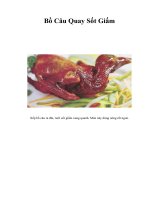 Tài liệu Bồ Câu Quay Sốt Giấm pdf