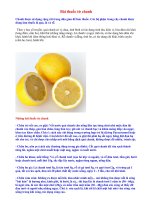 Bài giảng Các vị thuốc từ chanh