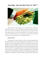 Tài liệu Sáp nhập - nhu cầu thực tế hay là 