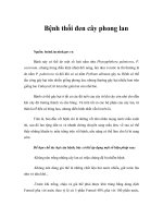 Tài liệu Bệnh thối đen cây phong lan doc