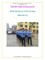 Tài liệu Chủ Đề: Ngôi trường của bé - Đề tài: Bác Bảo vệ và bác Lao công - Nhóm lớp: Lá docx