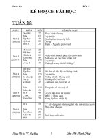 Bài soạn GA lớp 4-tuần 25-CKTKN-KNS-2010-2011