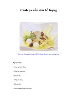 Tài liệu Canh gà nấu sâm bổ lượng pdf
