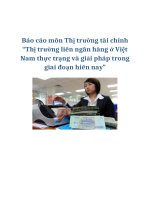 Tài liệu Báo cáo môn Thị trường tài chính “Thị trường liên ngân hàng ở Việt Nam thực trạng và giải pháp trong giai đoạn hiên nay” pdf