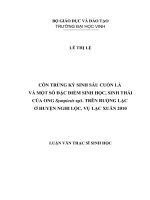 Côn trùng ký sinh sâu cuốn lá và một số đặc điểm sinh học, sinh thái của ong sympiesis sp1  trên ruộng lạc ở huyện nghi lộc, vụ lạc xuân 2010 