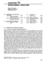 Tài liệu INVESTMENT ANALYSIS pptx