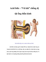 Tài liệu Acid folic - “Vũ khí” chống dị tật ống thần kinh doc