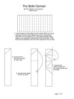 Tài liệu belleful ppt