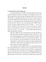 Giải pháp tài chính phát triển thị trường bất động sản ở việt nam 