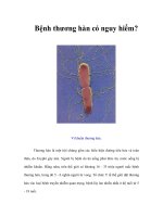 Tài liệu Bệnh thương hàn có nguy hiểm? pptx
