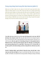 Tài liệu Cung ứng hàng hoá trong thời đại Internet (phần 2) pdf