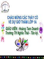 Bài soạn Xem tranh phong cảnh