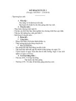 Bài giảng KẾ HOẠCH TUẦN 1/THÁNG 9/2010